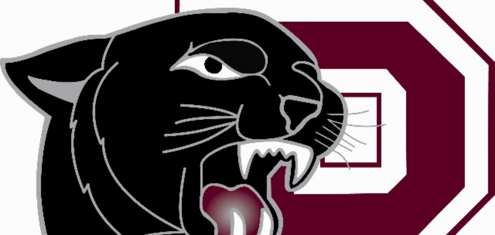 About Princeton ISD